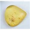 Gemsmyriad Non Trattato Naturale Tanzania Giallo Ambra 20.40 KT Certificato Cabochon Taglio