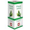 KOS Srl FICUS CARICA MG 100ML GTT