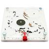 ANTHILLSHOP Kit formicaio educativo 10 x 10 schiuma quadrata (con formiche gratuite, da 20 a 30 operaie).