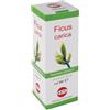 KOS Srl Kos Macerato Glicerico - Ficus Carica Gocce 100 ml