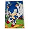 HÔMADICT HOMADICT PLAID SHERPA 100X150 CM SONIC CHARACTER