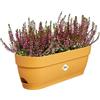 Elho Vibia Campana Trough 50 - Fioriera per Balcone - Ø 49.0 x H 17.0 cm - Giallo/Honey Yellow