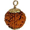 NAISHA Rudraksha himalayano 5 Mukhi | Rudraksha a cinque facce | Perline rudraksha con ciondolo | 100% originale e certificato (prodotto spirituale e curativo), 5 Mukhi, Legno, Rudraksh