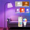 iLC Piantana Lampada da Terra ad Arco Salotto LED Moderna, 170CM Doppio Controllo con Telecomando e Interruttore a Piede, 9 Colori +6 Dinamici, Lampadina Dimmerabile, CRI92, 1200LM, per Soggiorno e Camera