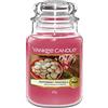 Yankee Candle Candela profumata, Candela in giara grande Peppermint Pinwheels, Durata: fino a 150 ore