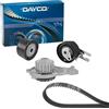 DAYCO KTBWP8570 KIT DISTRIBUZIONE CON POMPA ACQUA CI.C3-DS3-FO.B-MAX-FIESTA VAN-
