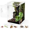 Biigdan Terrario, 360° Terrarium Acrilico - Teca per Rettili Trasparente, Terrario Rettili per ragni, lumache, mantidi, lucertole, raganelle, paguri, coleotteri
