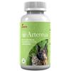Generico Artennua 90 compresse 475 mg, mangime complementare per cani e gatti con artemisinina, per il trattamento di patologie e il sostegno del sistema immunitario