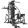 Horizon Fitness Stazione multifunzione Horizon Torus 5