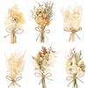 Nhgkju 6 mini bouquet di fiori secchi (15 cm) - piccoli fiori secchi con papillon ed erba per decorazioni, matrimoni, regali, bouquet di fiori secchi bianchi e gialli, per la casa (bianco e giallo)