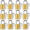 Cieex 12 piccoli lucchetti in ottone con chiave