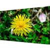 Hikvision Monitor led 55" Hikvision/1920x1080 pixel Full HD/8ms/Nero [DS-D2055LE-G]