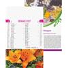 Calendario trimestrale da parete 12 fogli 28,8 x 47 cm personalizzate o neutre