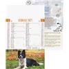 Calendario Cani e Gatti trimestrale personalizzabile 28,8 x 47 cm personalizzate o neutre