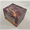 Ultimate Guard: Sidewinder 100+ Xenoskin Magic Tarkir Dragonstorm - UGD011581