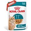 ROYAL CANIN cibo umido per gatti, Senior Ageing 11+, gelatina 12x85 g