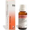 DR.RECKEWEG Dr. Reckeweg R6 Gocce Omeopatiche 50 ml
