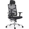 HOLLUDLE Sedia da Ufficio Ergonomica con Schienale Regolabile, Sedile Regolabile in Profondità, Braccioli 4D, Supporto Lombare e Poggiatesta 2D, Girevole a 360°, Design Moderno, Nera