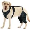 LISPOO Ginocchiera per cani per gamba posteriore strappata ACL/CCL, legamento strappato, avvolgimento efficace e calore articolare, supporto regolabile, sollievo dal dolore e migliore recupero