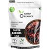 Namo Organics - Super Berry Mix - 500 gm spedizione gratuita in tutto il mondo