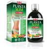 Gdp -General Dietet.Pharma WINTER PLANTA SLIM 12 ERBE 500 ML