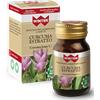 WINTER CURCUMA 55 CAPSULE