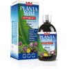 Gdp -General Dietet.Pharma WINTER PLANTA SLIM DEPURATY 500 ML