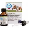 CAMON SpA SKIN ENERGY PLUS CROTON 20ML