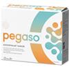 Pegaso Axidophilus Junior 14 Bustine Da 1,5 g