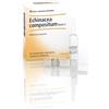 ECHINACEA COMP S 10F FT HEEL - - 800170526