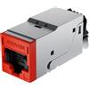 Fibrain Modulo Dati Fibrain Cat. 5 Non Shielded, Senza Adattatore XQ200