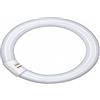 Osram - Lampada fluorescente ad anello L 22 Watt, luce bianca calda (827), 26 mm