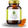 ERBEX essere e benessere ERBEX - Curcuma 100 Capsule | Polvere + Estratto | Antiossidante