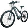 Randride YG90A Bicic elettrica 1000W Motore , Pneumatici da 27,5 , batteria da 48V 17 Ah