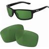 newpolar lenti di ricambio polarizzate newpolar per oakley gibston green g15