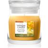 Yankee Candle Starfruit & Sunshine Starfruit & Sunshine 110 g