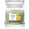 Yankee Candle Sage & Citrus Sage & Citrus 110 g