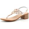 QUEEN HELENA Sandali Gioiello Infradito con Tacco Basso con Strass Eleganti Donna Y6024 (Argento, Sistema Taglie Calzature EU, Adulto, Donna, Numero, Media, 39)