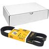 CONTITECH 6 PK 1145 Cinghie Trapeiz