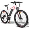 Fafrees F28 MT Bicicletta elettrica con batteria da 36V 15Ah 1 St