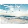 murando Carta da parati Mare Spiaggia 100x70 cm Fotomurali in TNT Murale alla moda Decorazione da Muro XXL Poster Gigante Design Cameretta Carta per pareti Ciel Uccelli Paesaggio Natura b-B-10023-a-a
