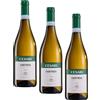 Cesari Custoza DOC - Vino Bianco dai Delicati Profumi di Frutta e Fiori Bianchi, Gusto Pieno e Leggermente Aromatico - 12,5% Vol - Bottiglia da 750 ml (Confezione da 3)