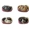 petz Gattini con Verso (Russano), in Cuccia set 4 pezzi assortiti