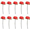 Zhhuoc 10pcs Rossa Pieghevole Rose Appearing Trucchi Magici, Close Up & Stage Magic, Adult Novità Magic Kit Accessori