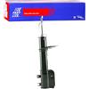 FAST Ammortizzatore FT11095 | Compatibile con: FIAT IDEA, LANCIA MUSA, YPSILON
