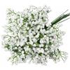 FIGCY 12 Pezzi Fiori di Gipsofila Artificiali, Fiori di Nebbiolina Bianchi, Steli da 28cm per Bouquet da Sposa, Decorazioni Casa, Composizioni Floreali