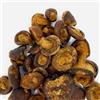 Il Contadino - Antichi Sapori FUNGHI SHIITAKE CHIPS | Snack Gourmet ai Funghi Shiitake, Chips di Funghi, Snack Vegetale senza Coloranti, Confezione Salva Freschezza (500g)