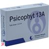 BIOGROUP SPA SOCIETA' BENEFIT PSICOPHYT REMEDY 13A 4 TUBI 1,2 G