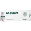 MC STONE ITALIA SRL COGNIZANT 10 FLACONI DA 10 ML