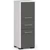AKORD | Mobile da Bagno FIN 85 | 30x85x30 cm, peso 25 kg | 2 Ante e 1 Cassetto | Moderna Mobiletto | Armadio a muro | Armadietto chiuso in piedi | Adatto Anche come Pensile | Bianco/Grigio grafite